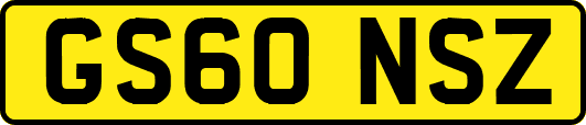 GS60NSZ
