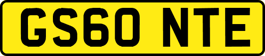 GS60NTE