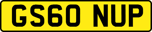 GS60NUP