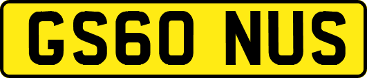 GS60NUS