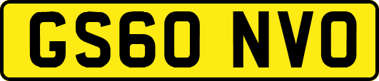 GS60NVO