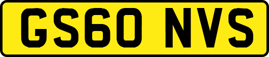 GS60NVS