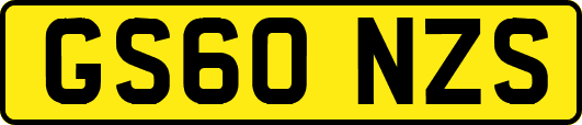 GS60NZS