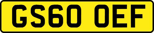 GS60OEF