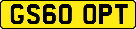 GS60OPT