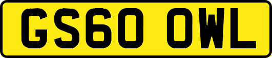 GS60OWL