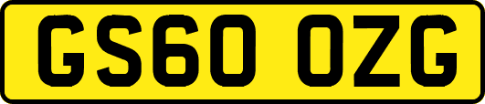 GS60OZG