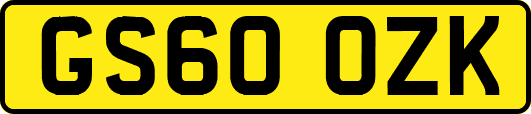 GS60OZK