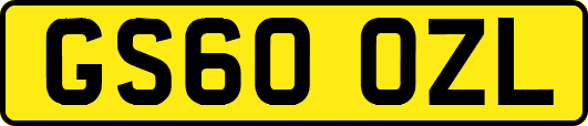 GS60OZL