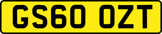 GS60OZT