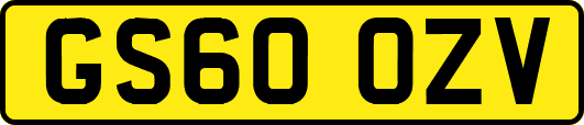 GS60OZV