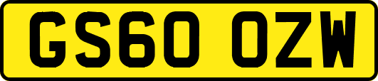 GS60OZW