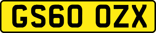 GS60OZX