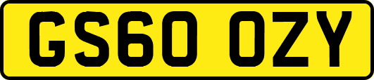 GS60OZY
