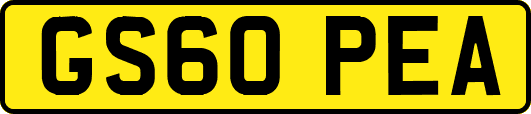 GS60PEA