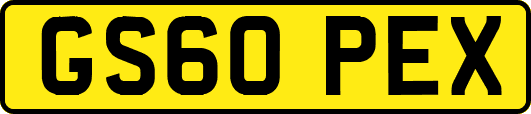 GS60PEX