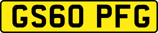 GS60PFG