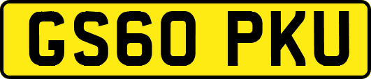 GS60PKU