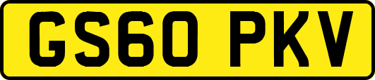GS60PKV