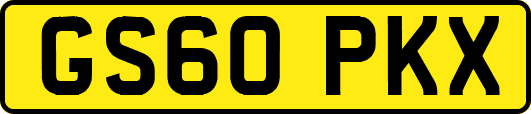 GS60PKX