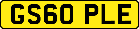 GS60PLE
