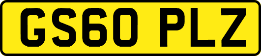 GS60PLZ