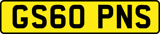 GS60PNS