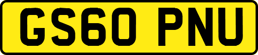 GS60PNU