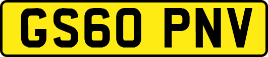 GS60PNV