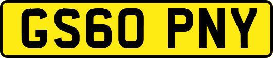 GS60PNY