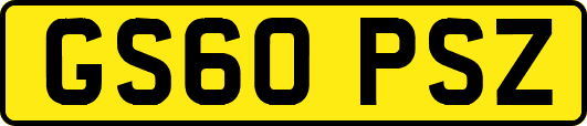 GS60PSZ