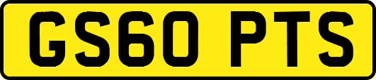 GS60PTS