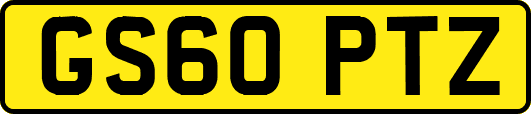 GS60PTZ
