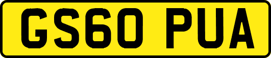 GS60PUA