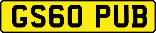 GS60PUB