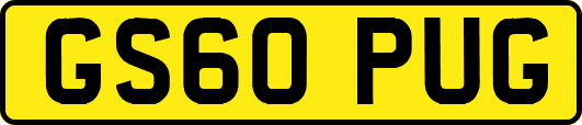 GS60PUG