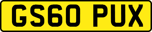 GS60PUX