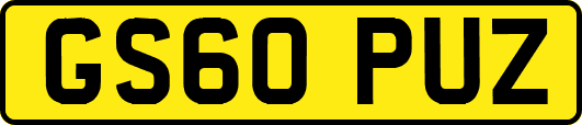 GS60PUZ