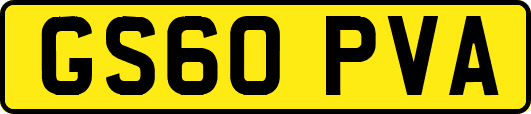 GS60PVA