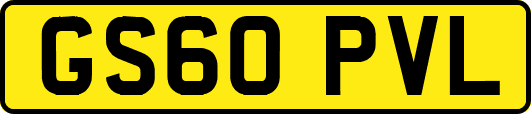 GS60PVL