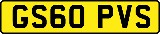 GS60PVS