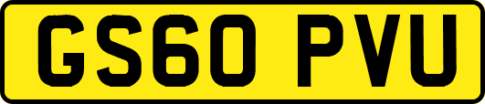 GS60PVU