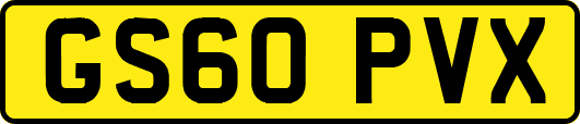 GS60PVX