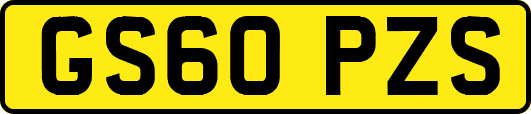 GS60PZS