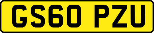 GS60PZU