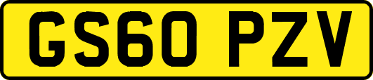 GS60PZV