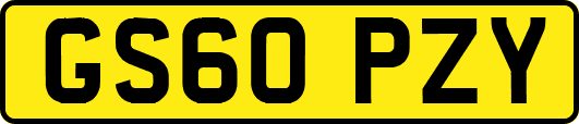 GS60PZY