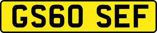 GS60SEF