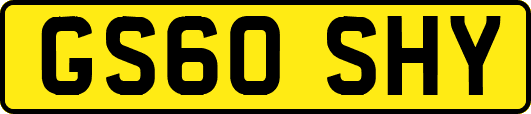 GS60SHY