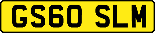 GS60SLM
